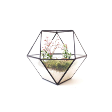 Tròn rõ ràng Hình học Vuông Kính Treo Terrarium